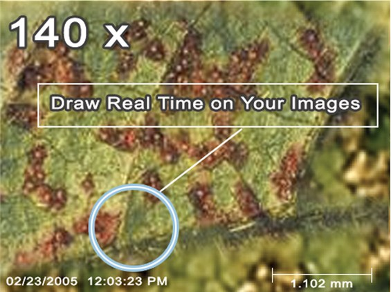 Цифровой микроскоп IPM Scope