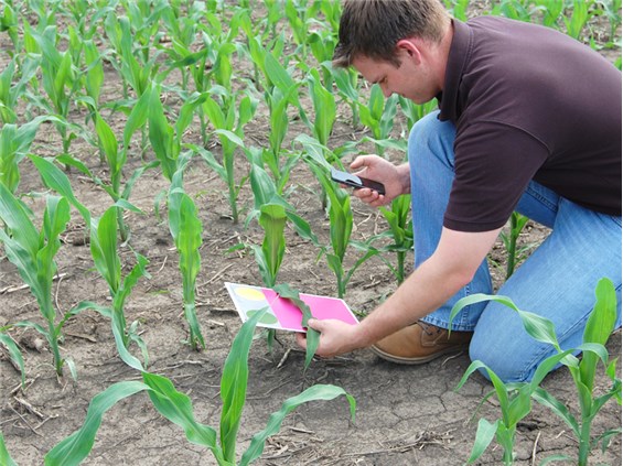 Система FieldScout GreenIndex+ 