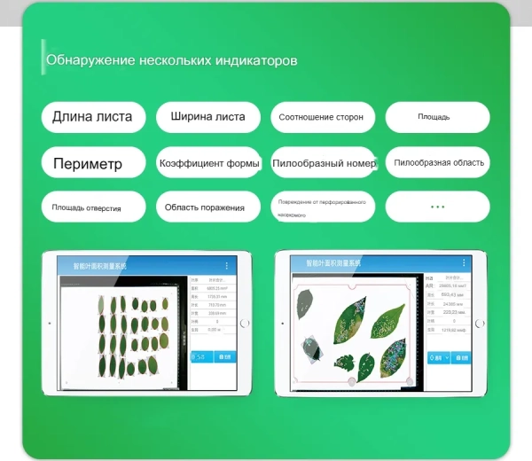 Интеллектуальный измеритель площади листьев YMJ-C